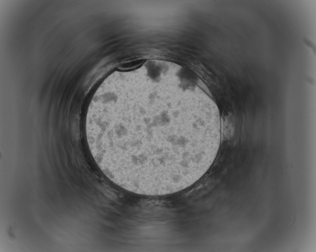 X0000096950291200803071034