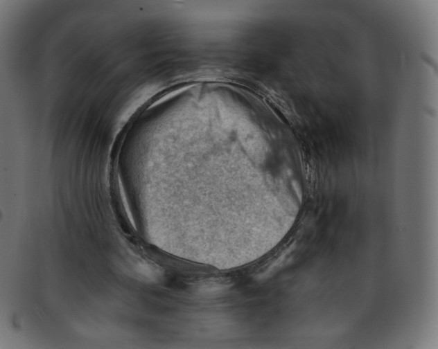 X0000096950292200803071034