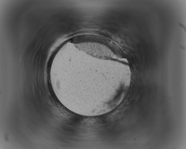X0000096950294200803071034