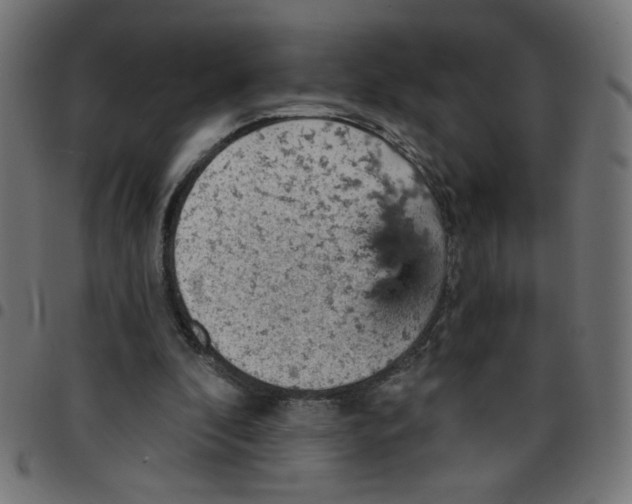 X0000096950296200803071034