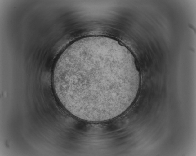 X0000096950297200803071034