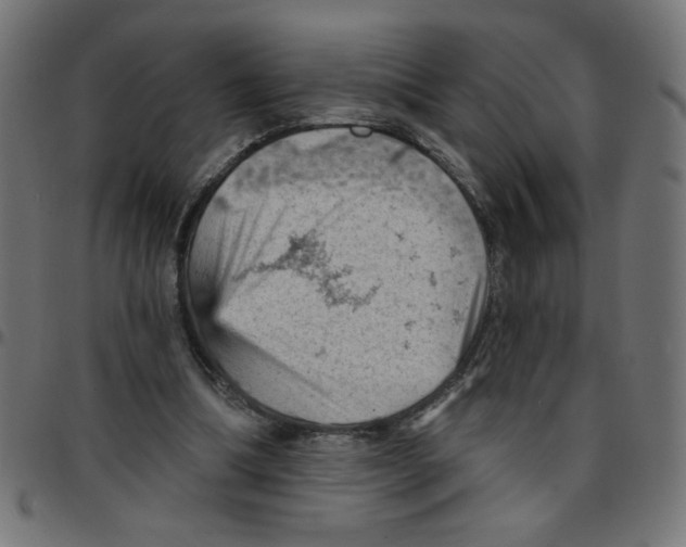 X0000096950298200803071034