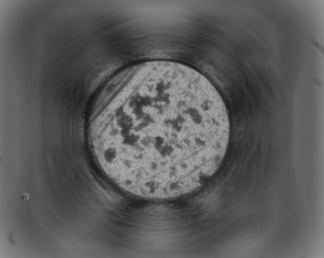 X0000096950299200803071034