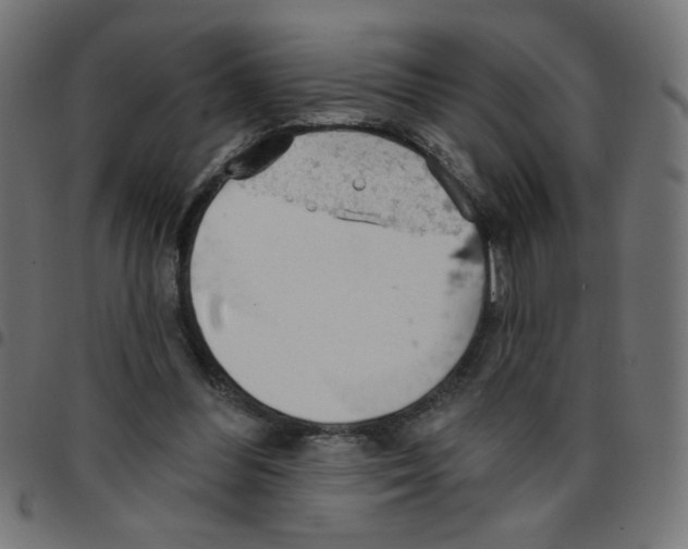 X0000096950300200803071034