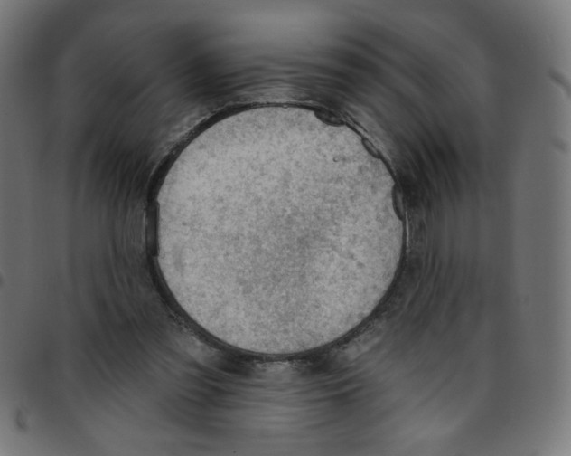 X0000096950301200803071034