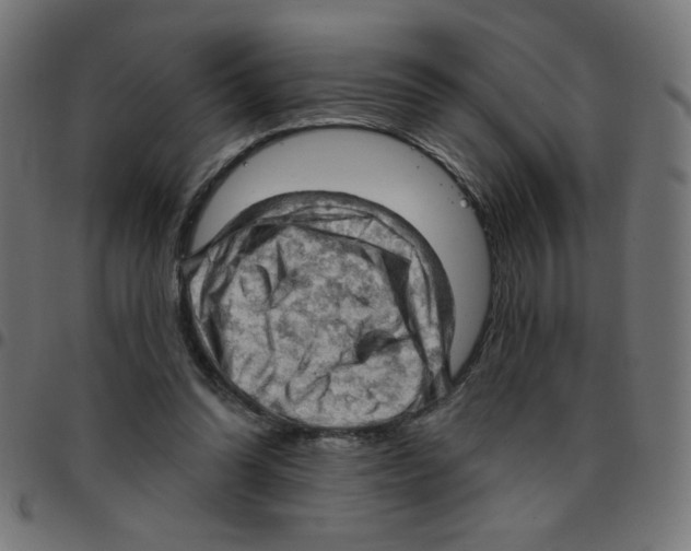 X0000096950302200803071034