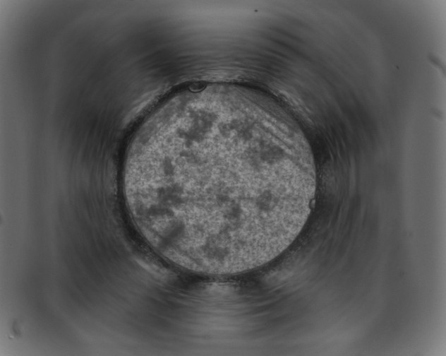 X0000096950303200803071034