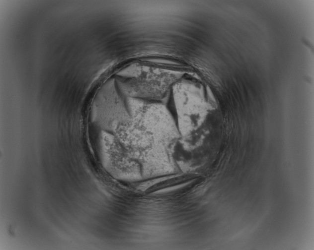 X0000096950304200803071034