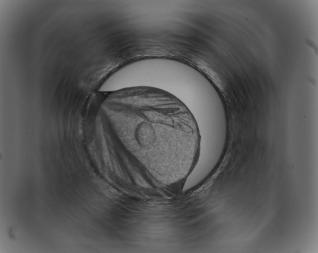 X0000096950305200803071034