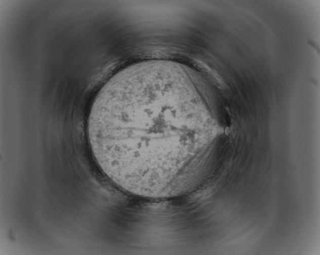 X0000096950306200803071034