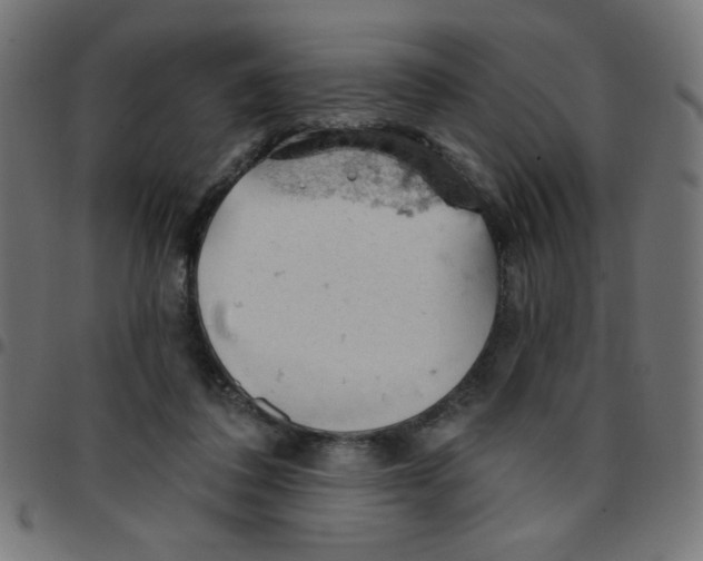 X0000096950308200803071034