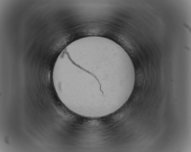 X0000096950310200803071034