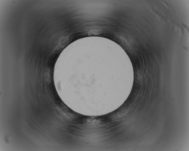 X0000096950311200803071034