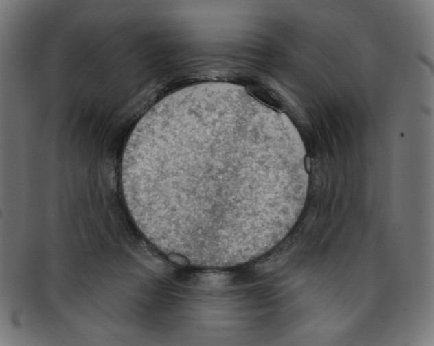 X0000096950313200803071034