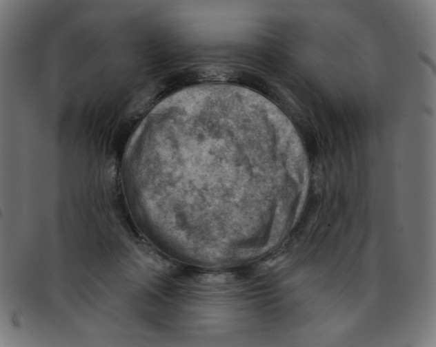 X0000096950314200803071034