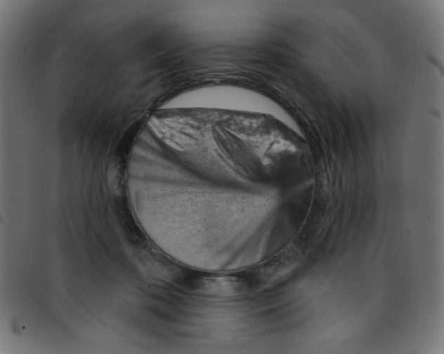 X0000096950316200803071034
