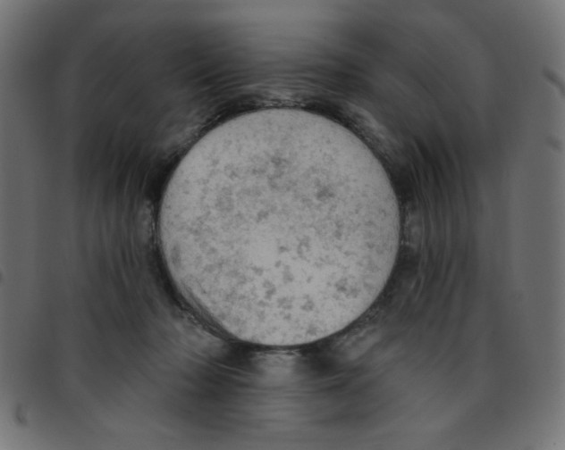 X0000096950318200803071034