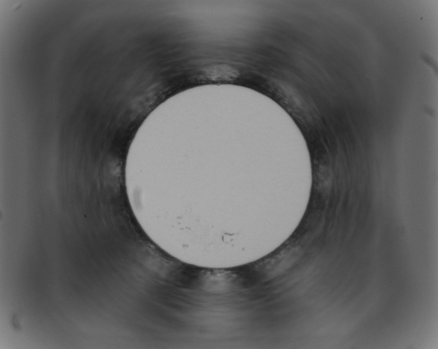 X0000096950321200803071034