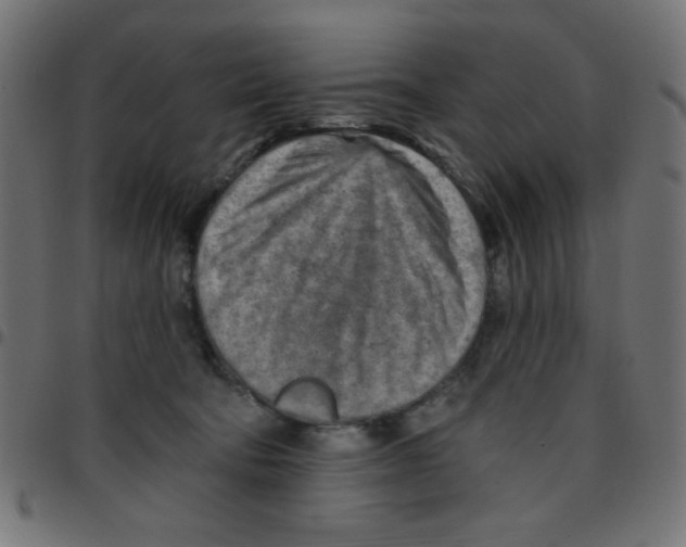 X0000096950322200803071034