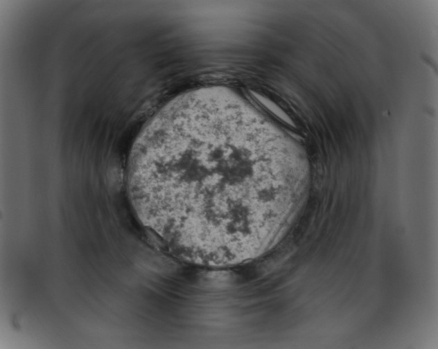 X0000096950324200803071034