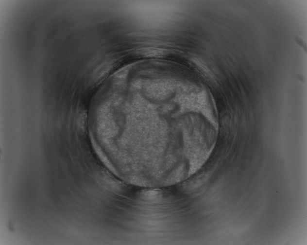 X0000096950325200803071034