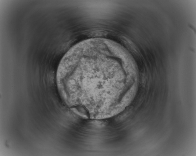 X0000096950326200803071034