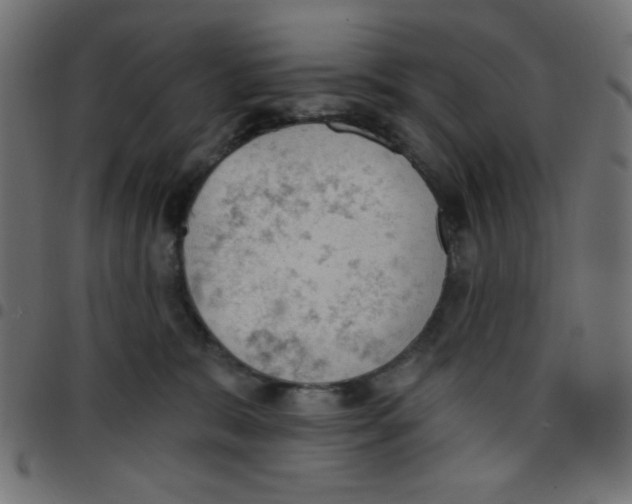X0000096950327200803071034