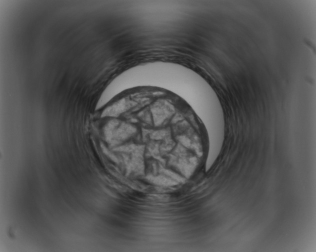 X0000096950328200803071034