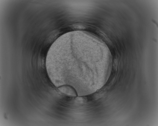 X0000096950330200803071034