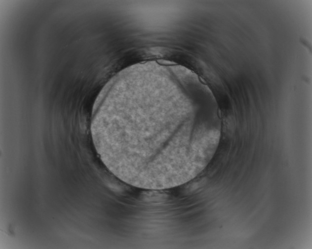 X0000096950331200803071034
