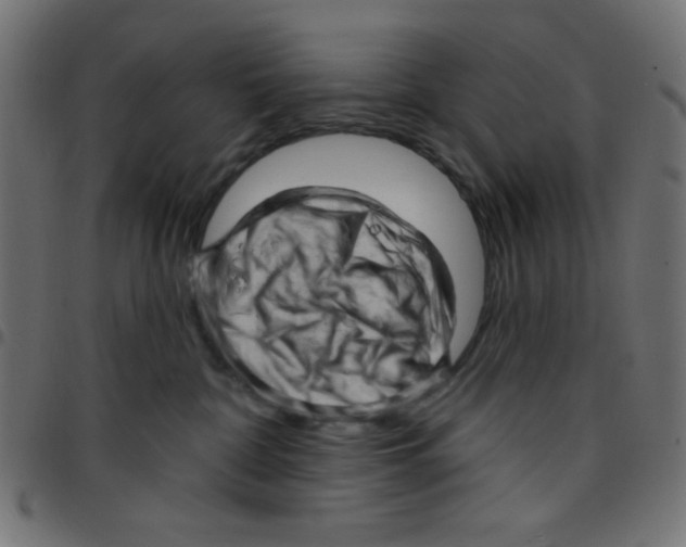 X0000096950332200803071034