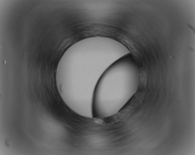 X0000096950333200803071033