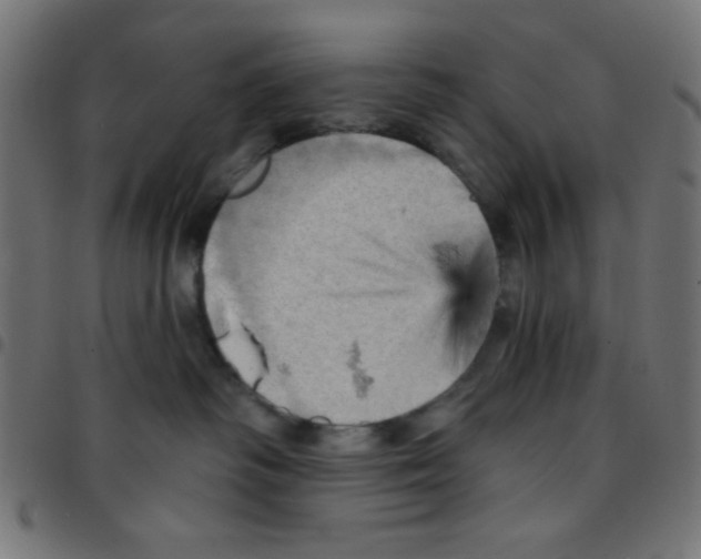 X0000096950334200803071033