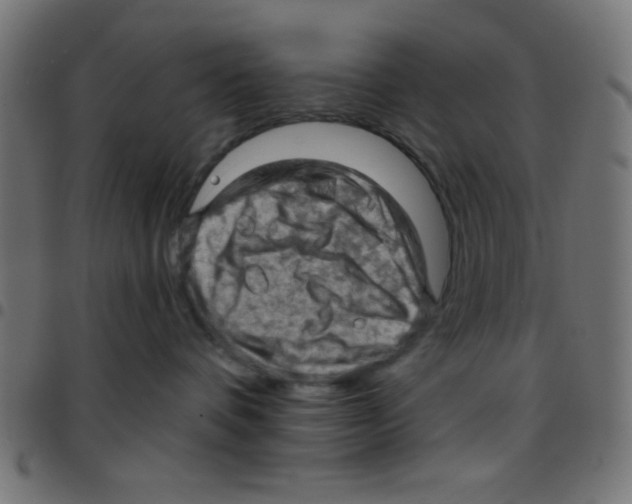 X0000096950336200803071033