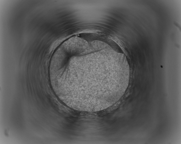 X0000096950337200803071033