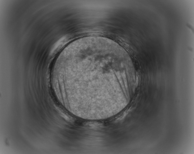 X0000096950339200803071033