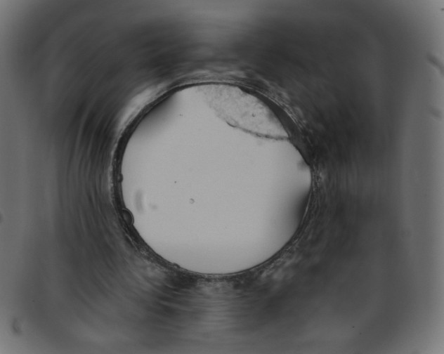 X0000096950340200803071033