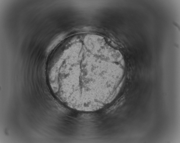 X0000096950341200803071033