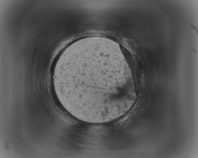 X0000096950342200803071033