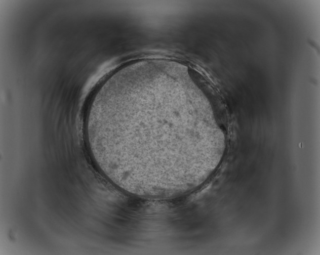 X0000096950343200803071033