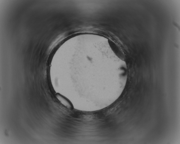 X0000096950344200803071033