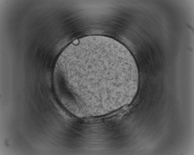 X0000096950345200803071033