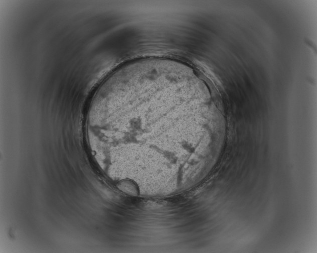 X0000096950346200803071033