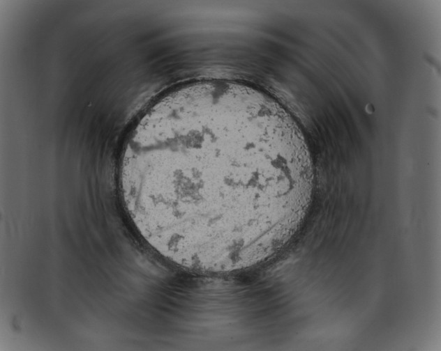 X0000096950347200803071033