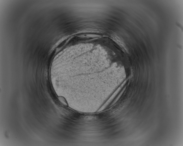 X0000096950348200803071033