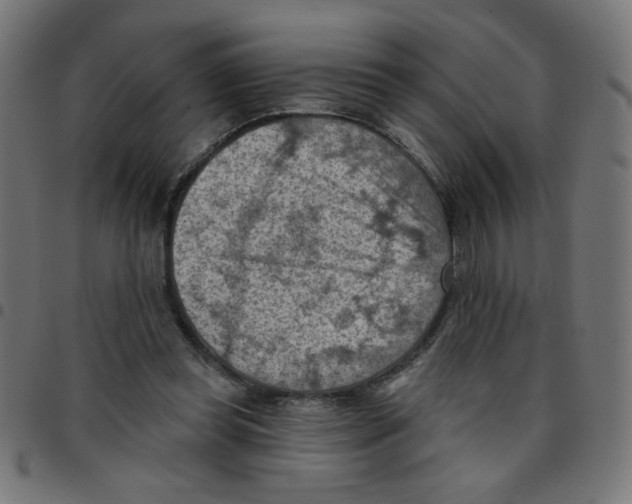X0000096950349200803071033