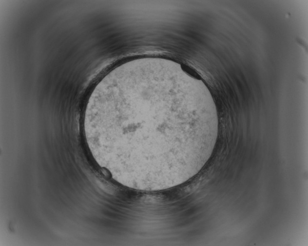 X0000096950350200803071033
