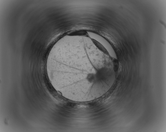 X0000096950352200803071033