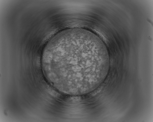 X0000096950353200803071033