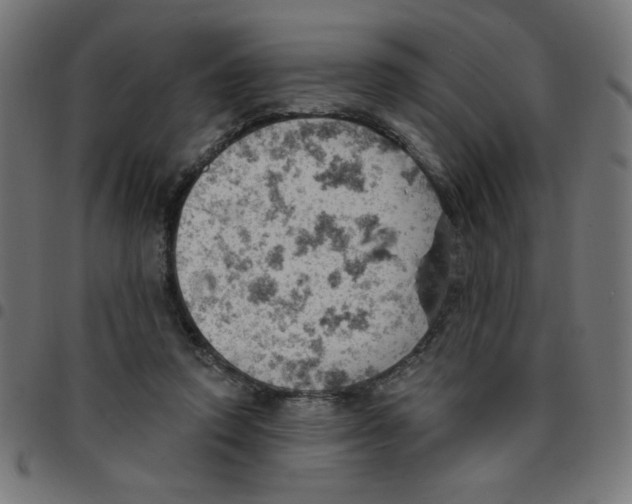 X0000096950354200803071033